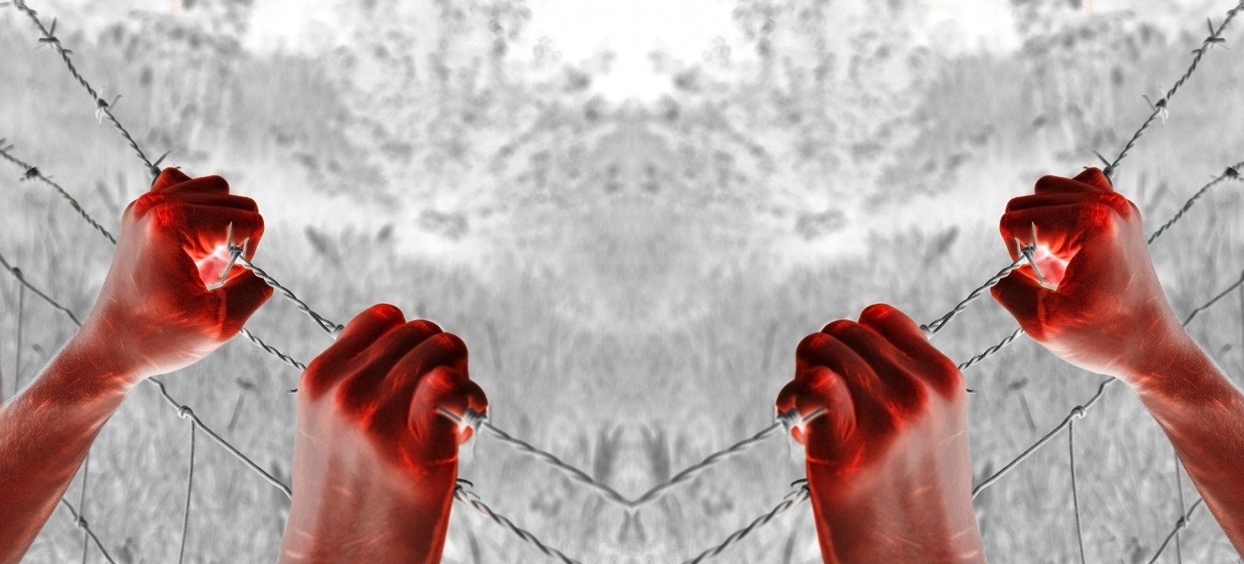 Artistic blood tortured hand grasping desperately barbed wire