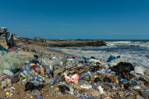 Beach of Plastic