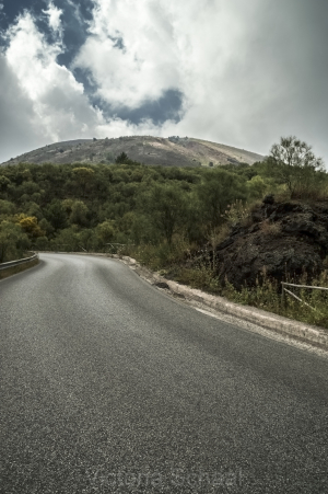 Road to Vesuvius