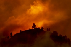 Hill with trees about to burn in red, orange wildfire